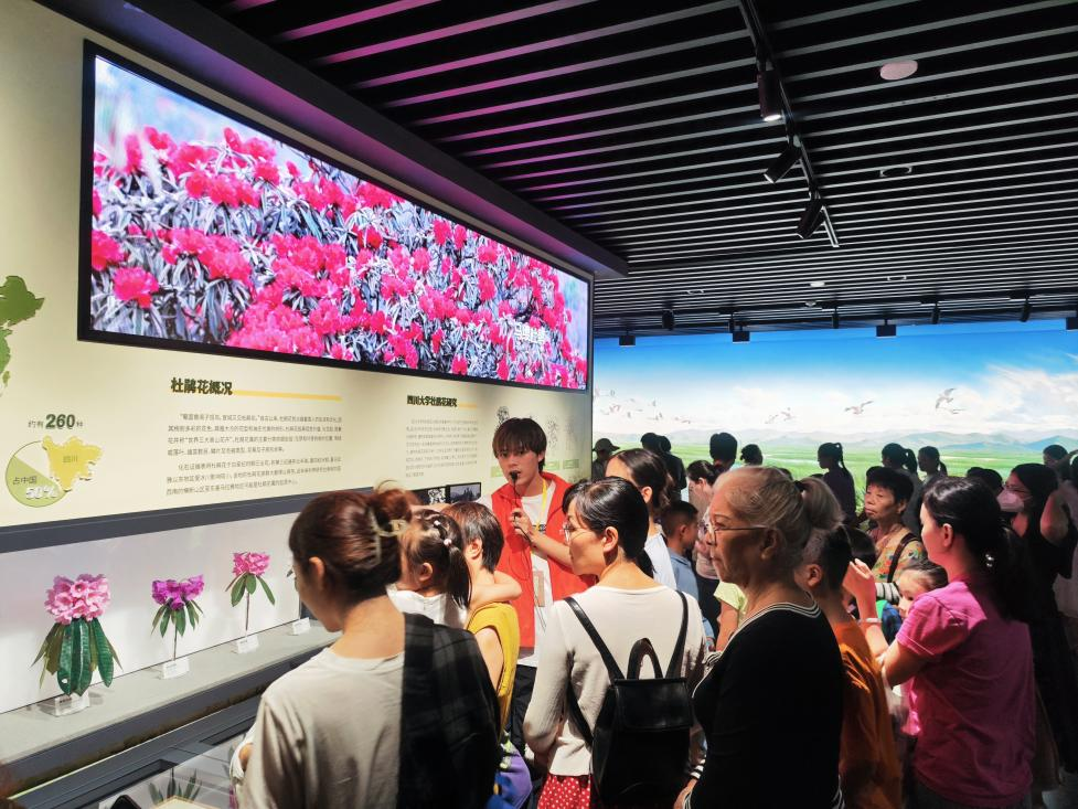 招募四川大学博物馆志愿者团队招新啦