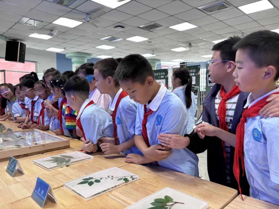 性丰富的原因——我们所生活的成都是全球海拔落差最大的超大型城市